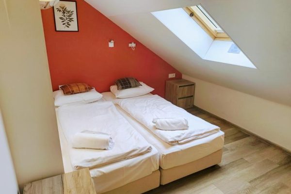 Private_Room_2_Beds_-_Shared_Bathroom_4